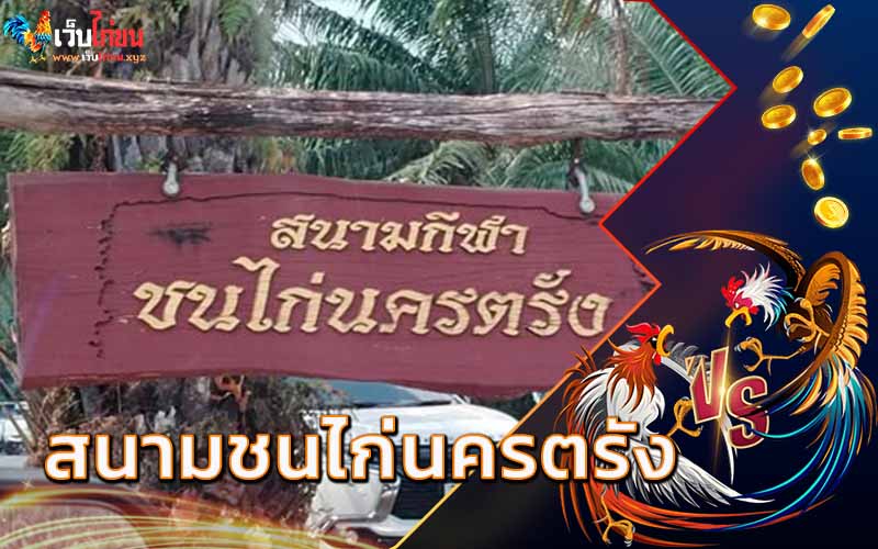 สนามชนไก่นครตรัง